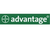 Advantage